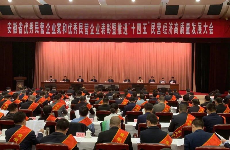 喜訊！元琛科技總經(jīng)理梁燕被授予“安徽省優(yōu)秀民營企業(yè)家”稱號